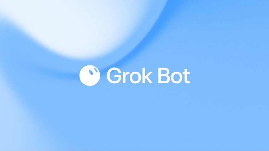 Grok Bot 官方视觉