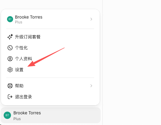 点击 ChatGPT 头像菜单中的设置