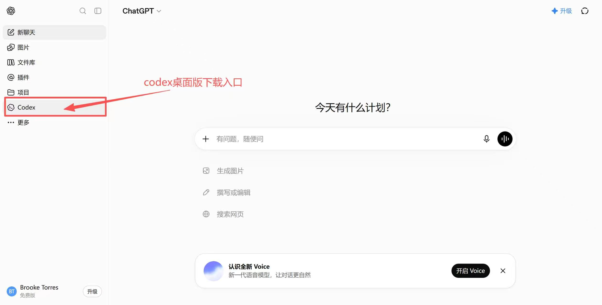 Codex 侧边栏入口