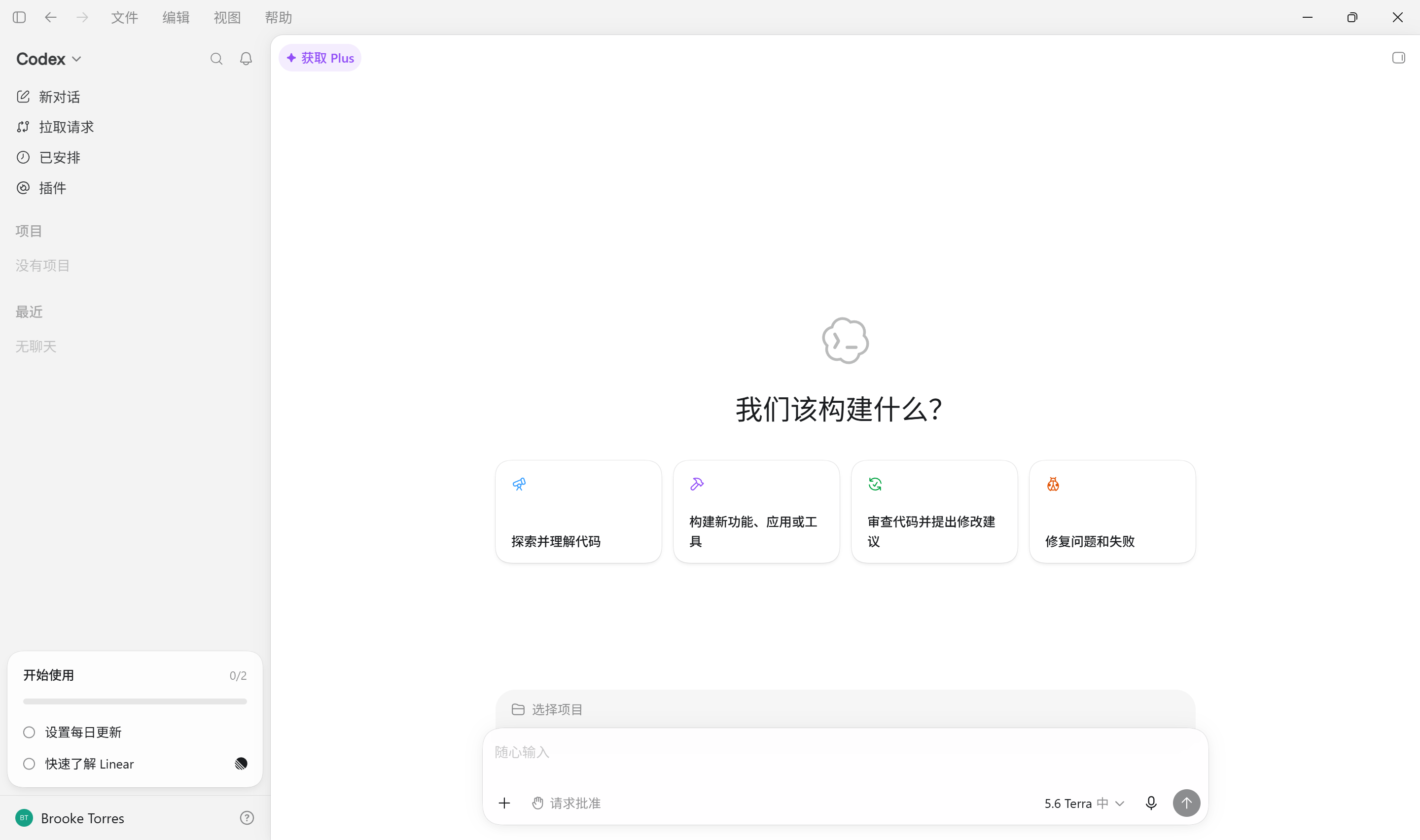 Codex 主界面