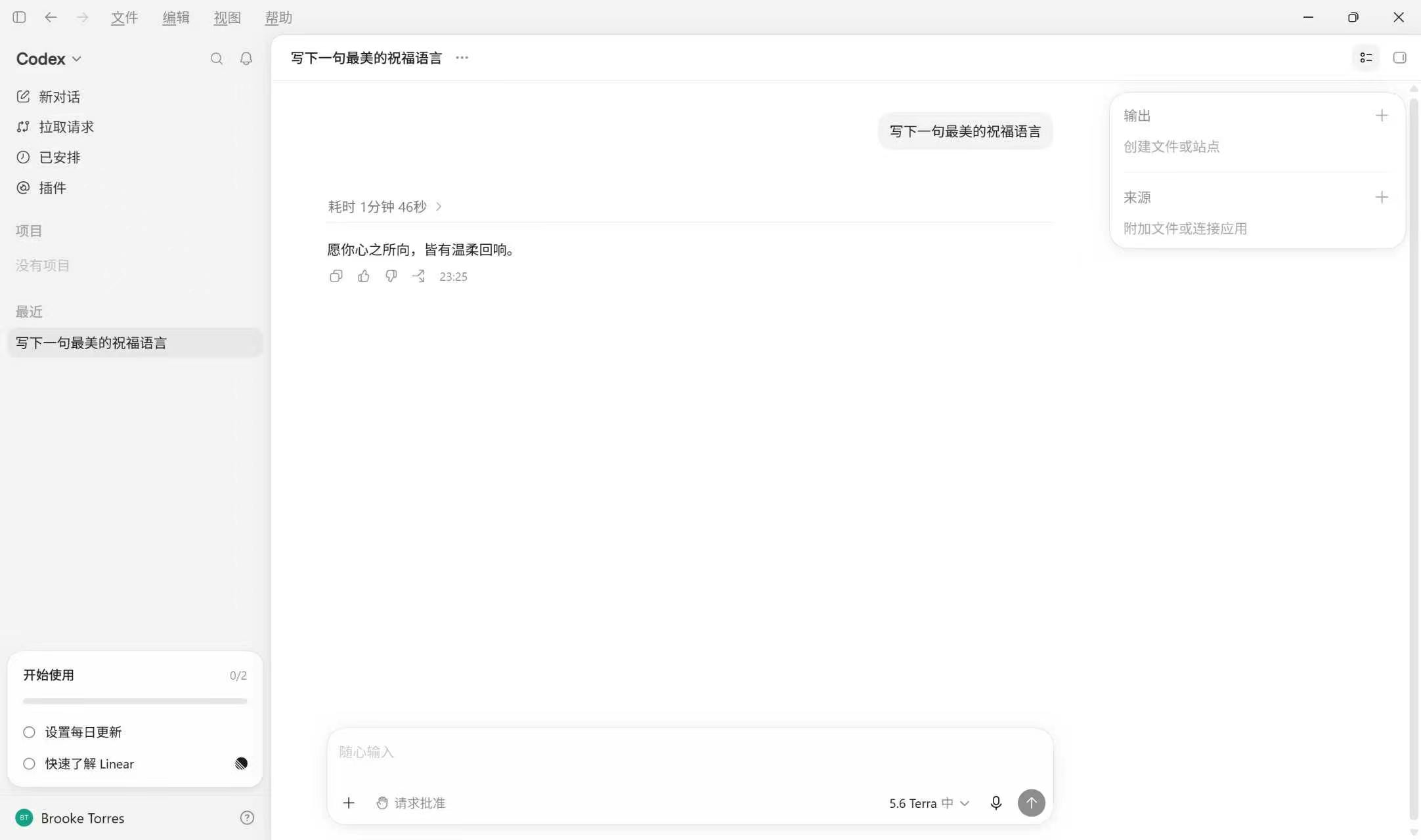 Codex 使用成功示意